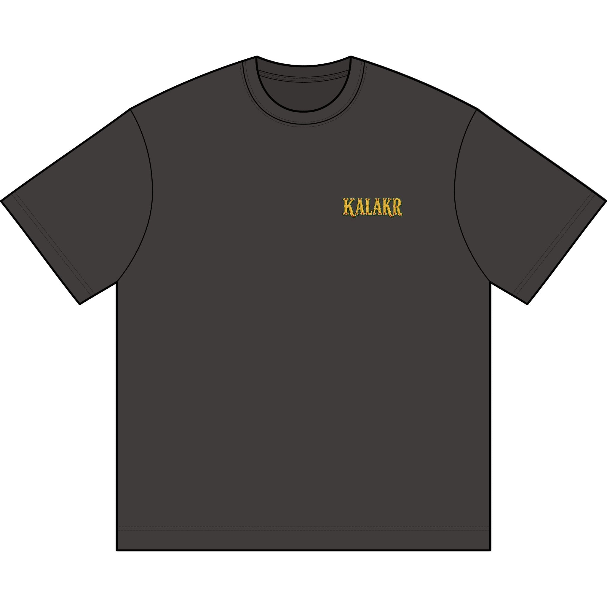 Pakistan Freedom Fest Oversize Graphic Tee — Unisex T-Shirt