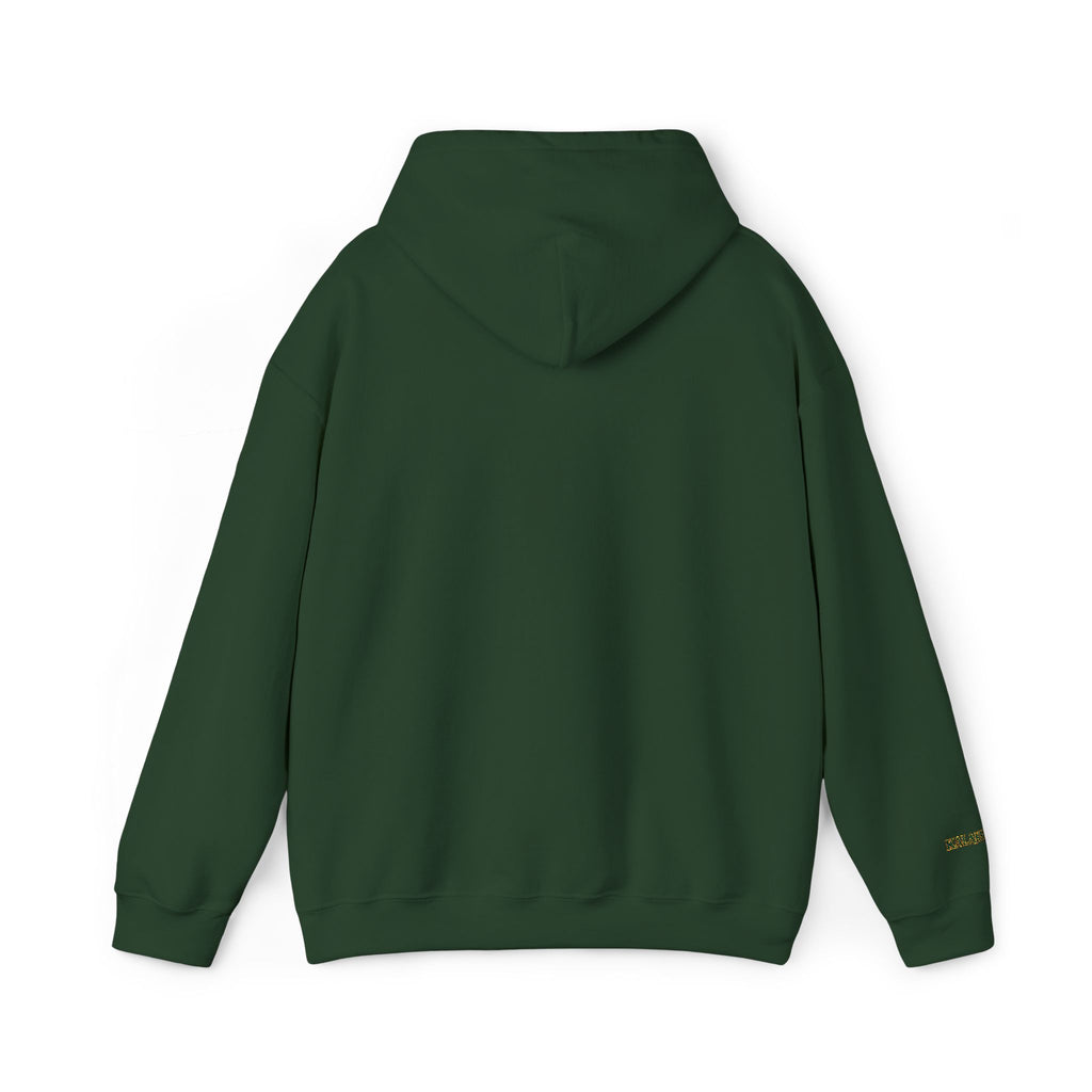 Pakistani Crescent Moon - Embroidered Hoodie